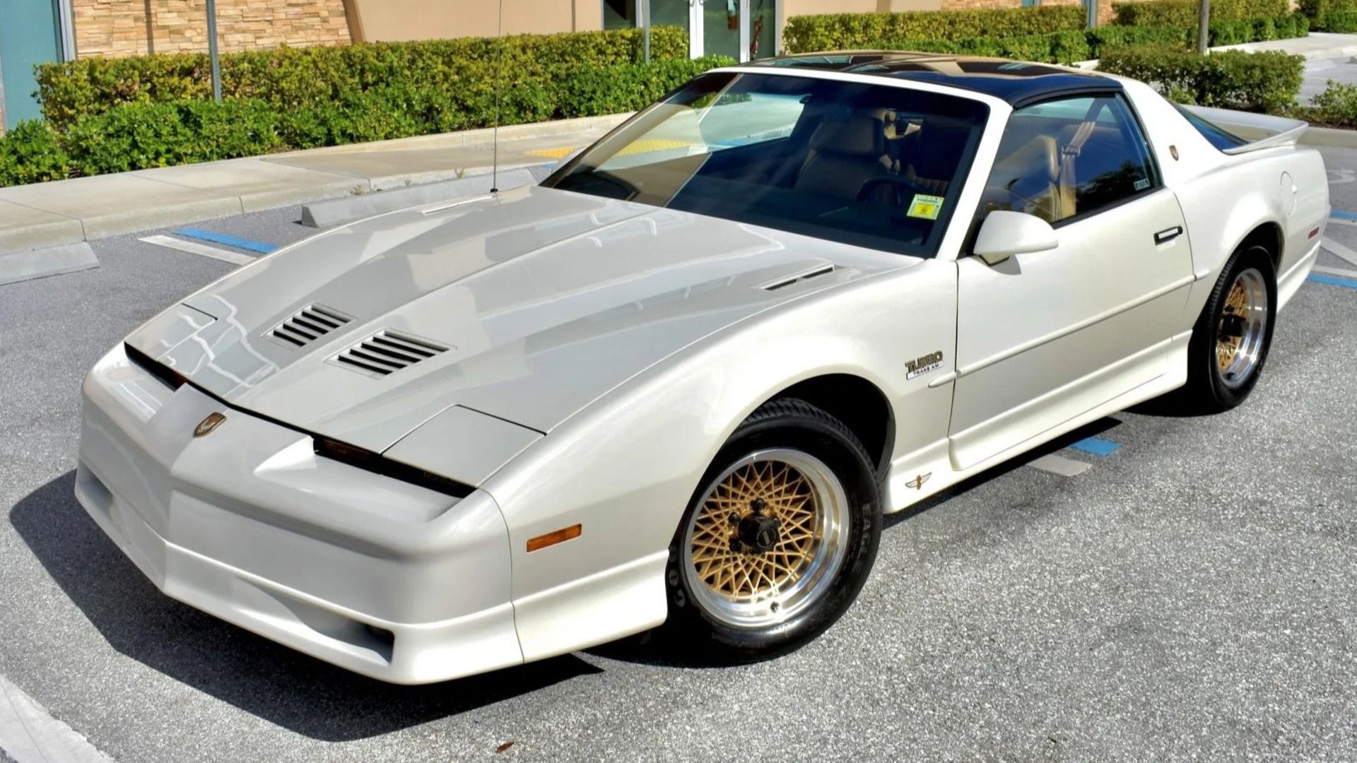 A white pearlescent 1989 Pontiac Firebird 20th Anniversary Turbo Trans Am in the sun