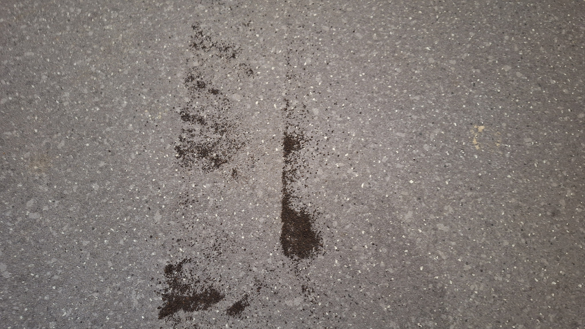 Remnants of tea on lino floor during suction test