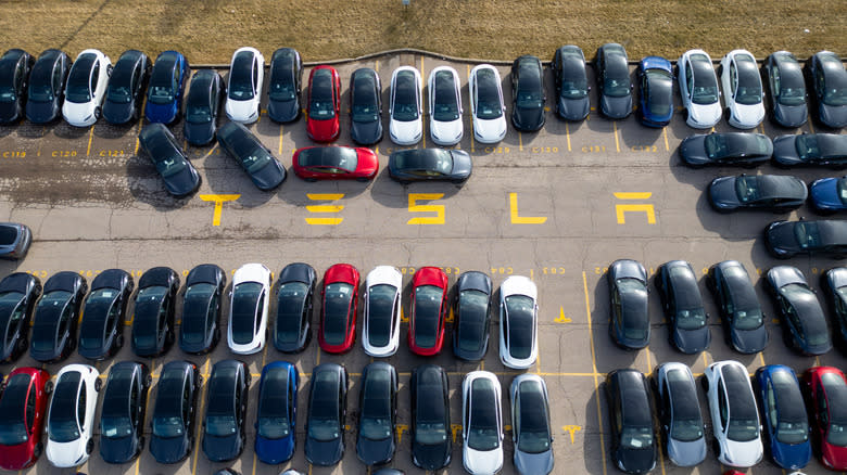 A photo of Tesla cars at a dealer.