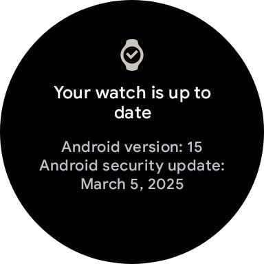 Pixel Watch Wear OS 5.1 update screenshot