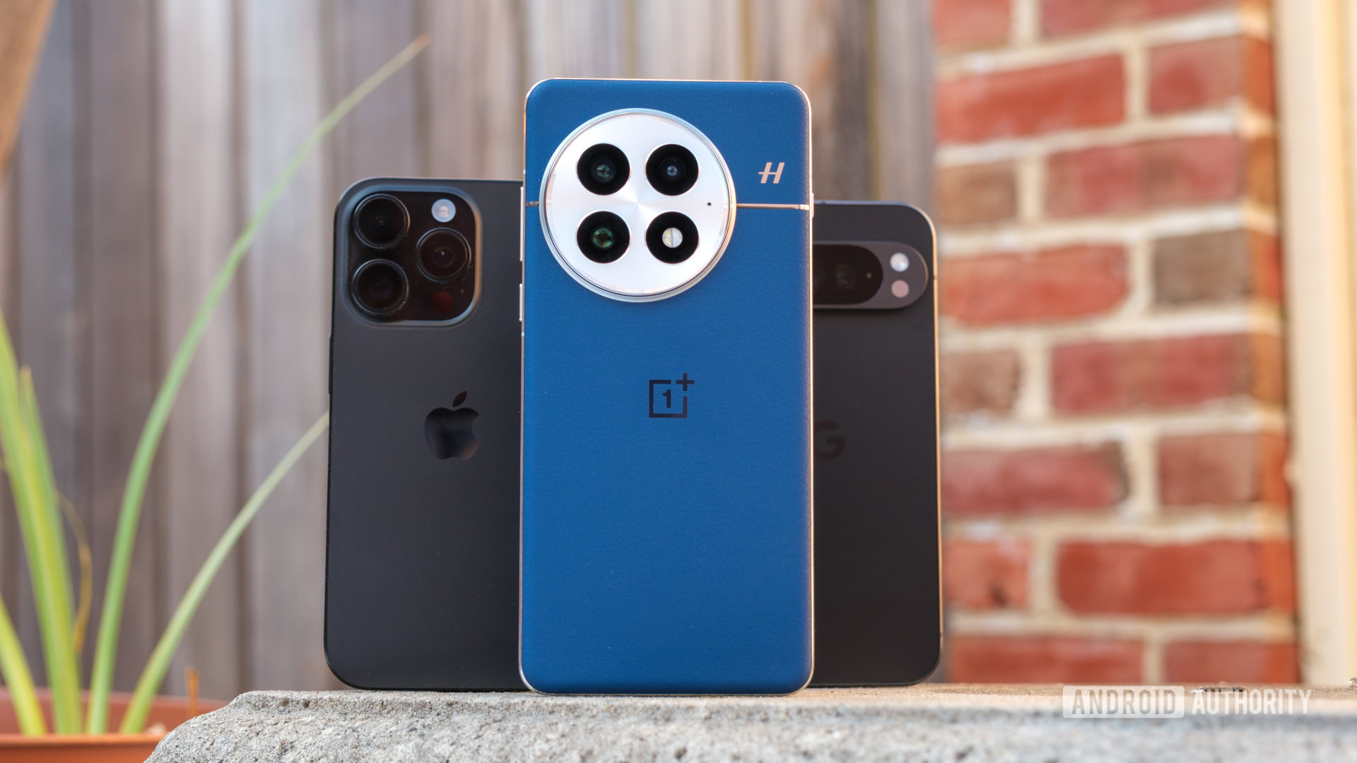 OnePlus 13 camera vs Pixel 9 Pro vs iPhone 16 Pro rear hero