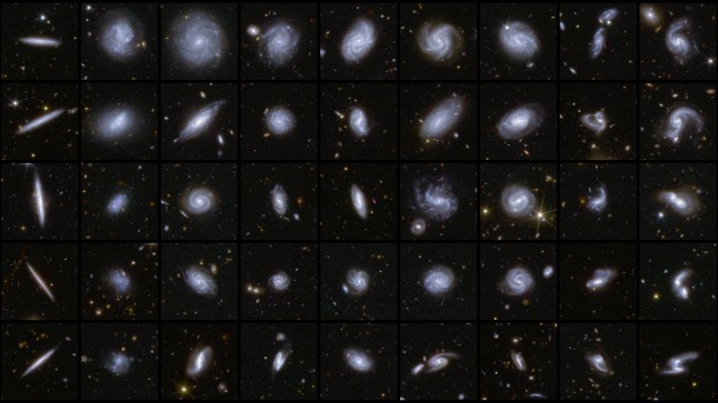 A combination image shows examples of galaxies in different shapes, all captured by the Euclid space telescope during its first observations of three Deep Field areas of the sky, in this handout released by the European Space Agency on March 19, 2025. As part of a Euclid data release, a detailed catalogue of more than 380,000 galaxies was published, classified according to features such as spiral arms, central bars and tidal tails that infer merging galaxies. ESA/Euclid/Euclid Consortium/NASA, image processing by M. Walmsley, M. Huertas-Company, J.-C. Cuillandre/Handout via REUTERS THIS IMAGE HAS BEEN SUPPLIED BY A THIRD PARTY. MANDATORY CREDIT. IMAGE PROCESSED AT SOURCE