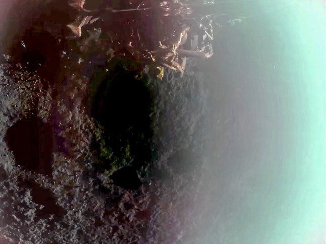 This image grab from a March 2, 2025 video and released by Firefly Aerospace shows Firefly's Blue Ghost lander during its lunar landing as part of the Ghost Mission 1. A US company successfully landed its spacecraft on the Moon on March 2, 2025, making it only the second private lander to achieve this milestone, a live webcast from mission control showed. Firefly Aerospace's Blue Ghost Mission 1 touched down at 3:34 am US Eastern Time (0834 GMT) near Mons Latreille, a volcanic formation in Mare Crisium on the Moon's northeastern near side. (Photo by Handout / Firefly Aerospace / AFP) / RESTRICTED TO EDITORIAL USE - MANDATORY CREDIT "AFP PHOTO / HANDOUT / Firefly Aerospace" - NO MARKETING NO ADVERTISING CAMPAIGNS - DISTRIBUTED AS A SERVICE TO CLIENTS (Photo by HANDOUT/Firefly Aerospace/AFP via Getty Images)