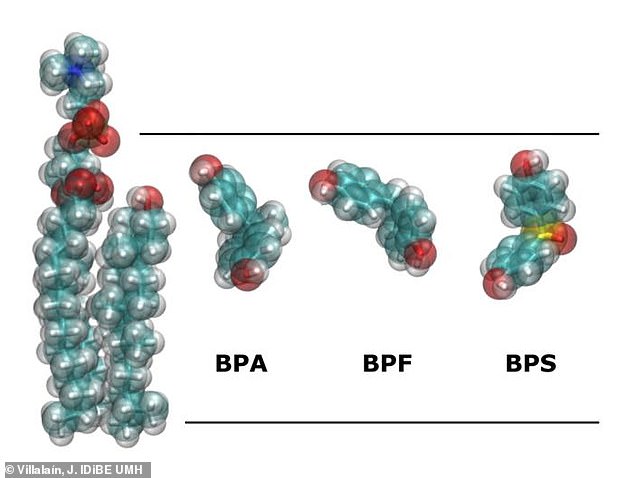 Many of the offending devices contain BPA, a chemical commonly used to help harden plastics that known to disrupt the body's hormonal function. This can cause fertility issues, disrupt sexual development, and lead to cancer and other health problems