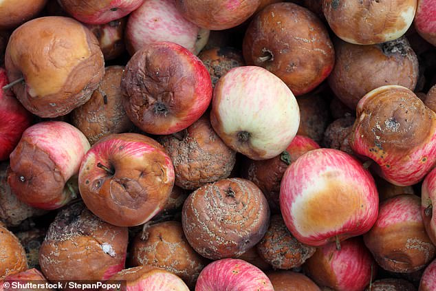 Even the tastiest apple looks pretty unappetising if it starts turning brown (File image)