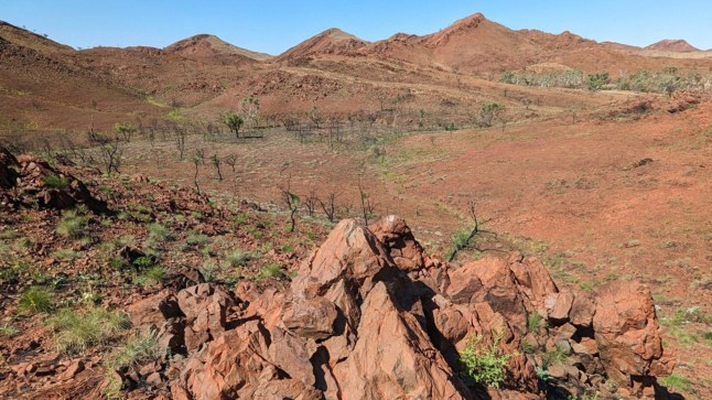 'Shatter cones' at the North Pole Dome in the center of the Pilbara region, Australia. Image credit: Curtin University.